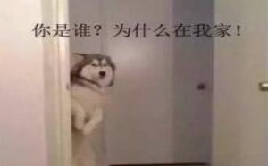 胸藏东西不再是女人的专利了 266