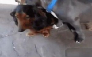钱果然不是万能的 是万达的 233