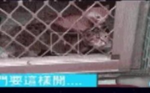 主人 我已经控制不住我自己了 240