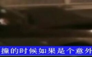 恶搞《狮子座》之高晓松醉驾 07
