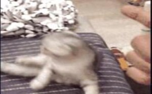 女生因接吻姿势跟男友分手 114