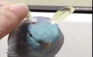 孩子 咱能不这么折腾校服吗 115