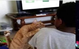 我走过最长的路就是你的套路 所以这次我会加倍小心 121