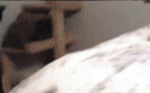 这是隔壁老王出的主意吧 125