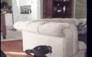 我问同事 你第一次啪啪啪是在什么时候 126