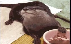 有些事情胸小的妹子 就不要做了啊 128