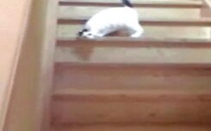 女生无理取闹的时候你只需要这么做 131