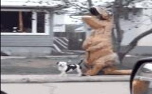 谢谢 这样扣鼻屎确实可爱多了 132