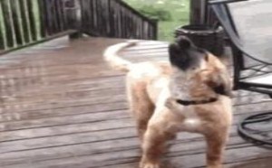 这么丧心病狂的游戏 下面的美女你受苦了 133