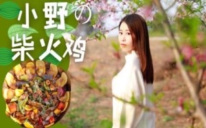 办公室小野桃花树下钻木取火做柴火鸡香飘十里